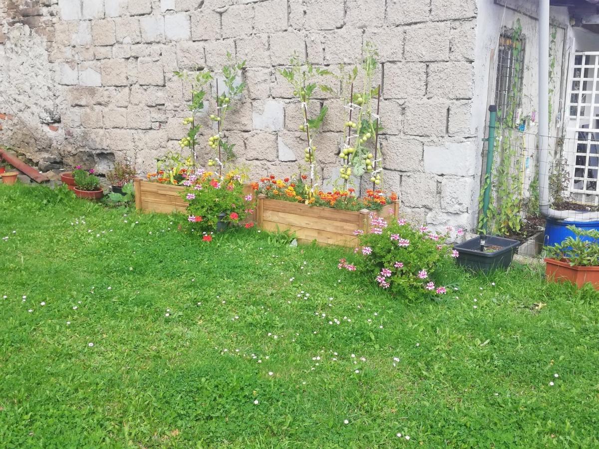 Apartman Petra Kovarska Екстер'єр фото